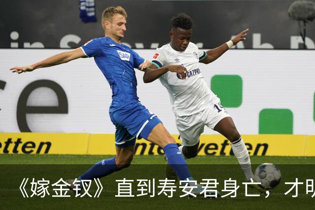 《嫁金钗》直到寿安君身亡，才明白她保护魏娆，并不是为了周芙